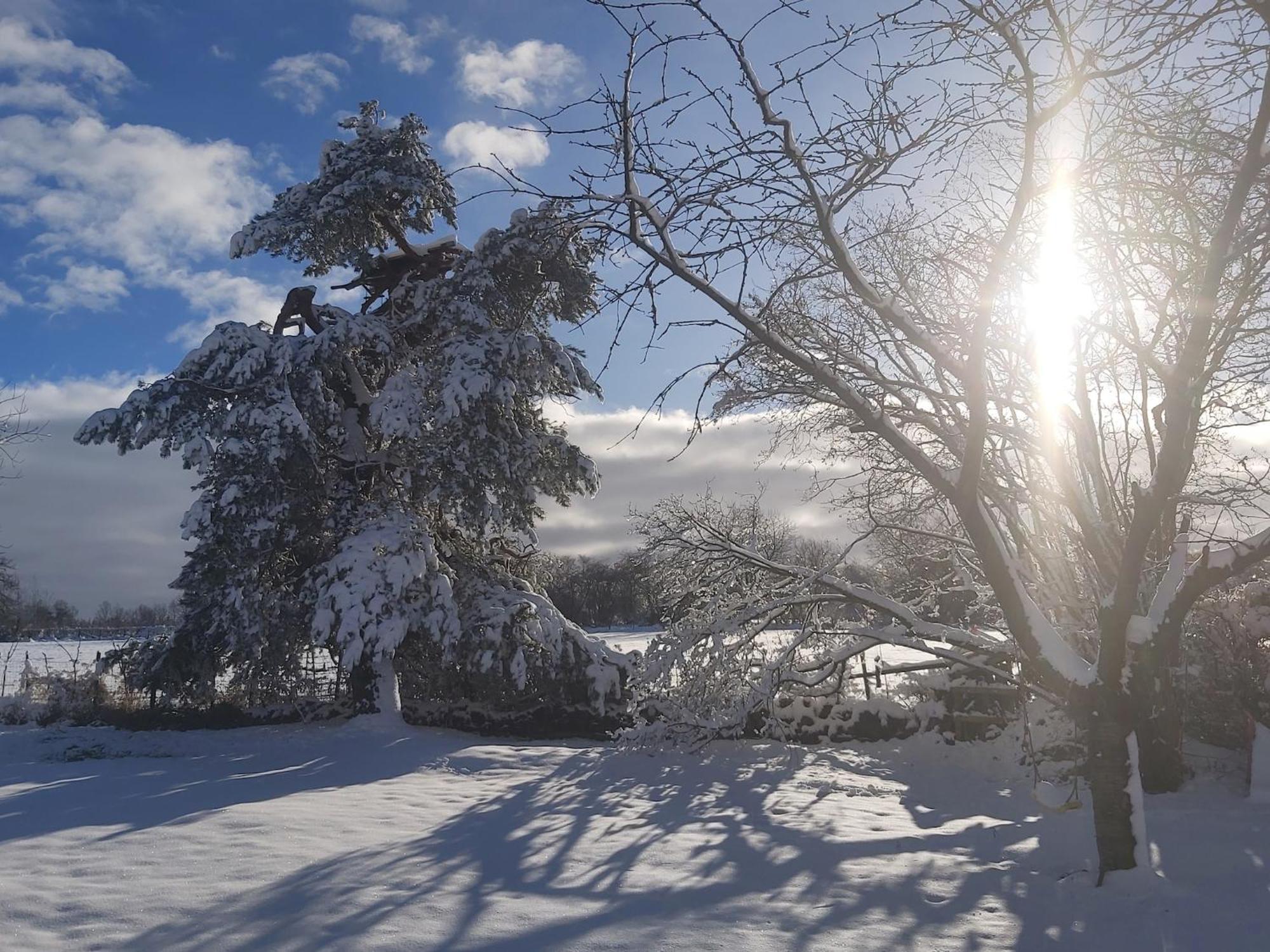 Holiday Home Ardennes Blue In Theux Near Spa La Reid Экстерьер фото